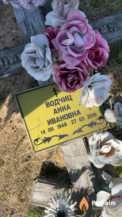 Водчиц Анна Ивановна