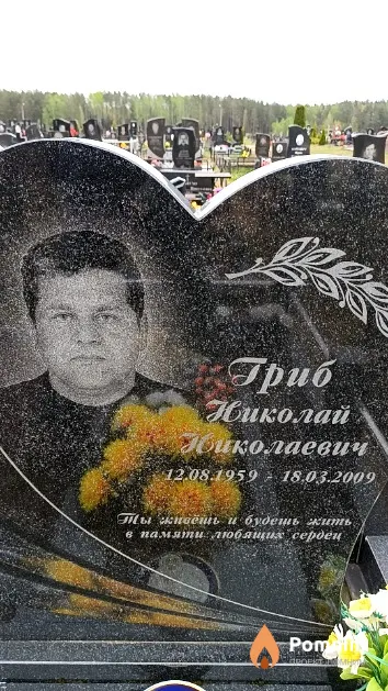 Гриб Николай Николаевич