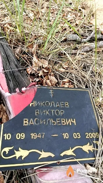 Николаев Виктор Васильевич