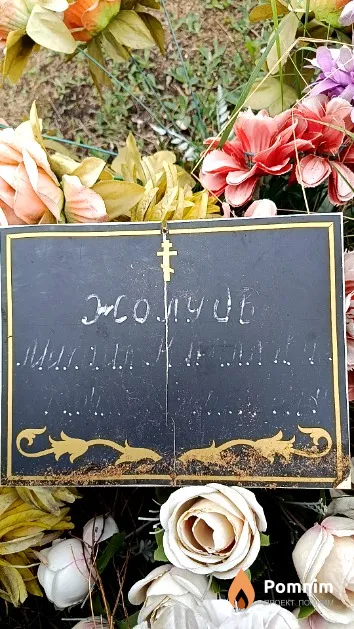 Жолудь Михаил Кириллович