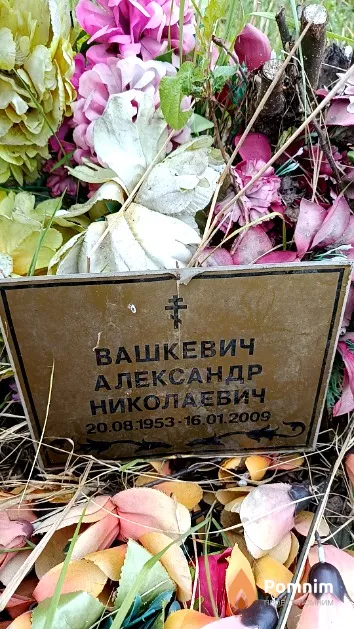 Вашкевич Александр Николаевич
