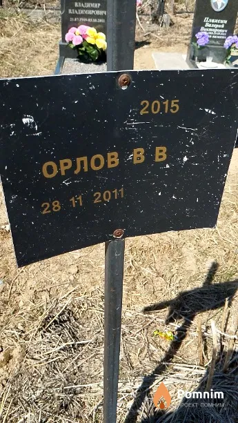 Орлов В В