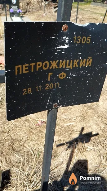 Петрожицкий Г. Ф.