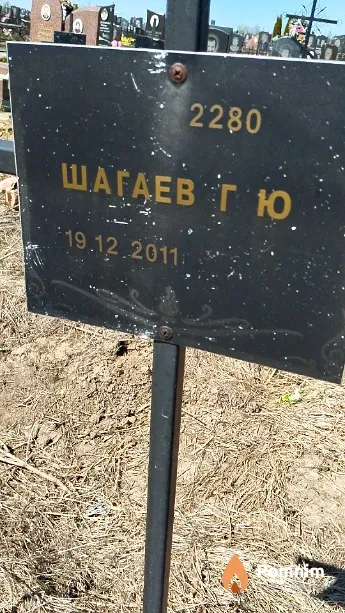 Шагаев Г Ю