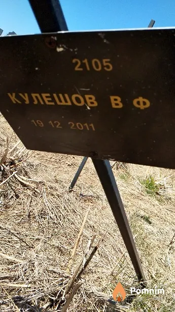 Кулешов В Ф