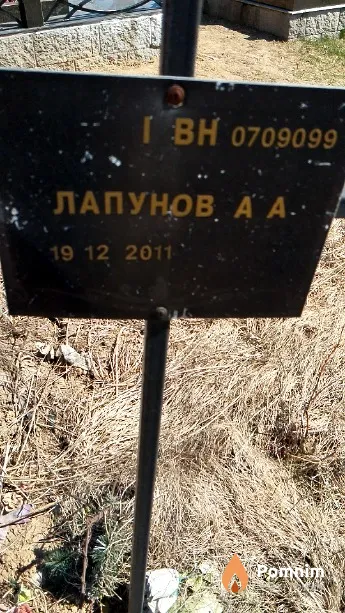 Лапунов А А