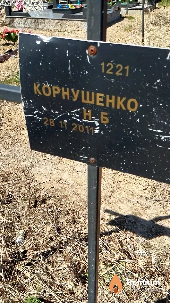 Корнушенко Н Б