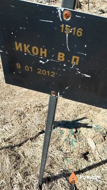 Икон В П