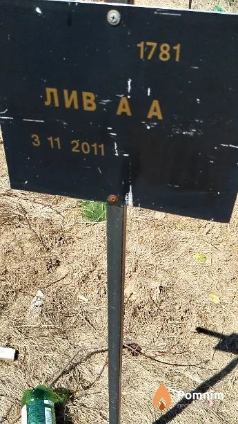 Лив А А