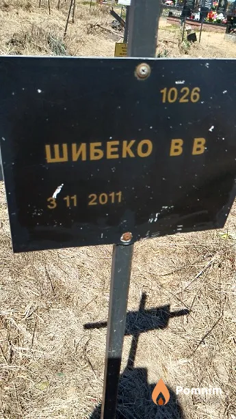 Шибеко В В