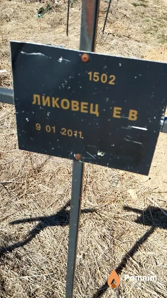 Ликовец Е В