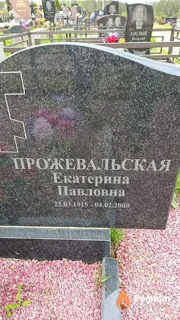 Прожевальская Екатерина Павловна