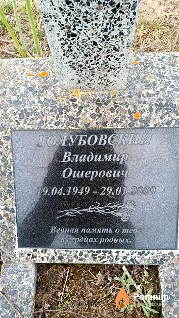 Голубовский Владимир Ошерович