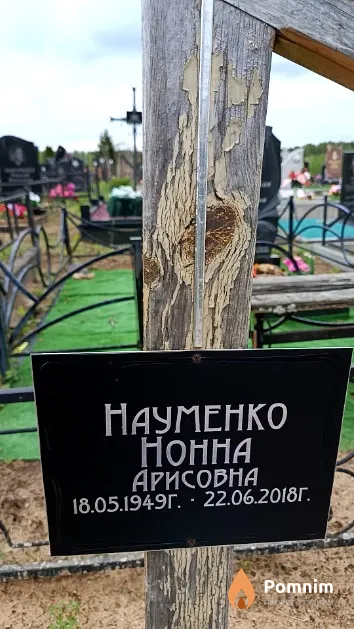 Науменко Нонна Арисовна