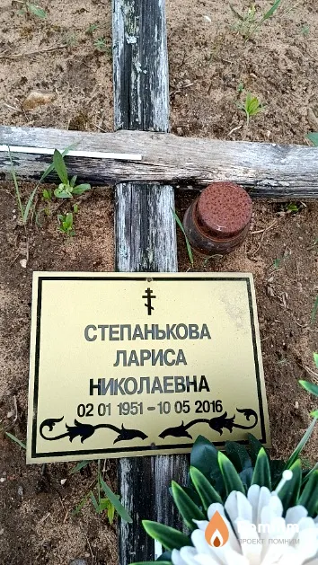 Степанькова Лариса Николаевна