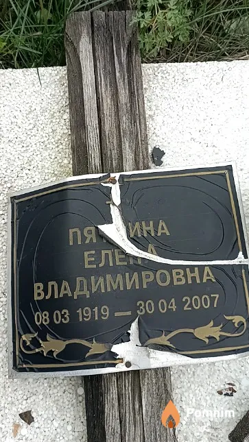 Пяткина Елена Владимировна