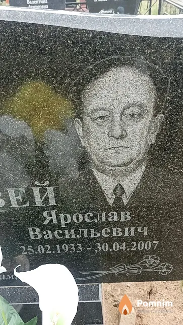 Соловей Ярослав Васильевич