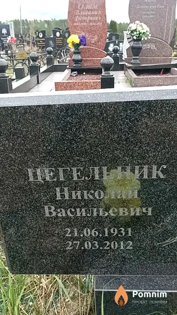 Цегельник Николай Васильевич