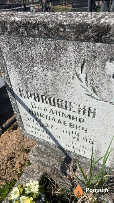 Кривошейн Владимир Николаевич