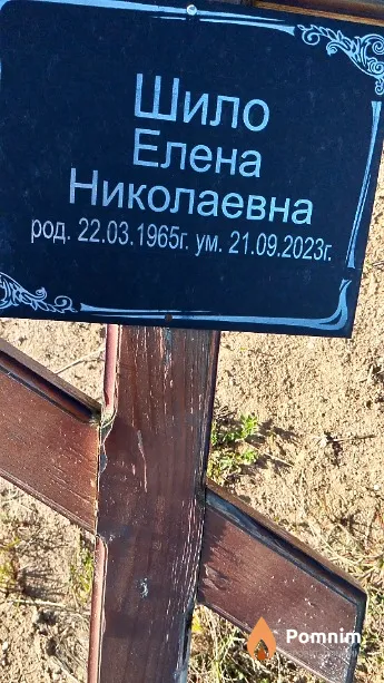 Шило Елена Николаевна