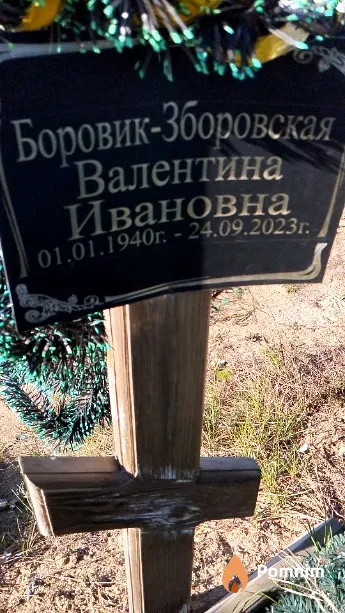 Боровик-Зборовская Валентина Ивановна
