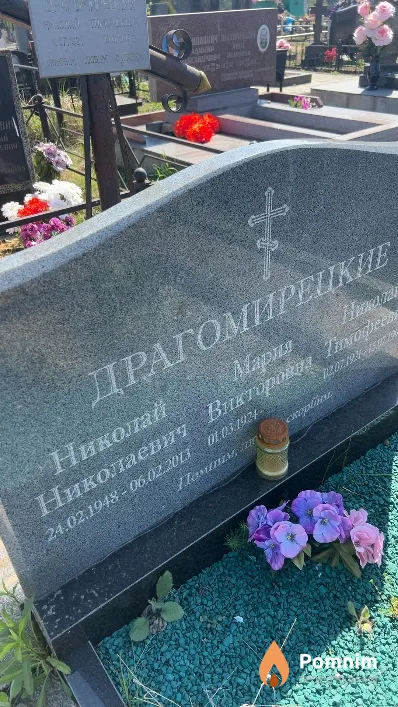 Драгомирецкий Николай Николаевич