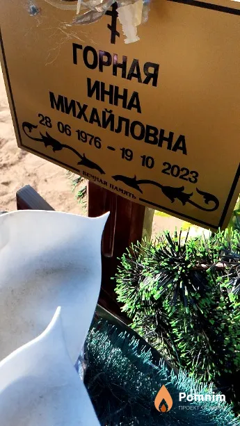 Горная Инна Михайловна