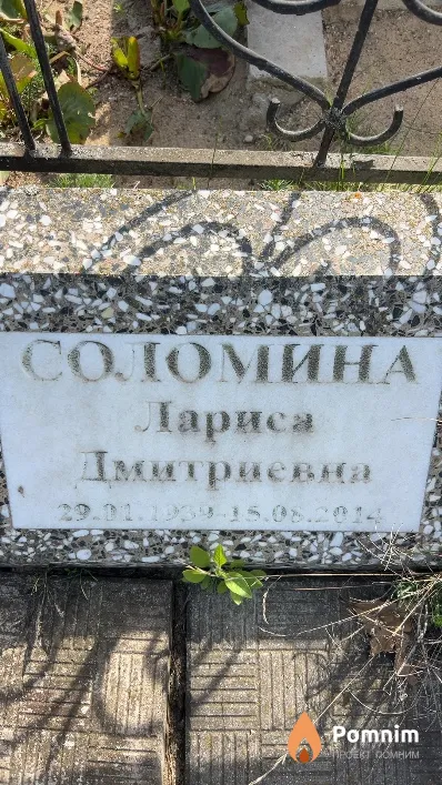 Соломина Лариса Дмитриевна