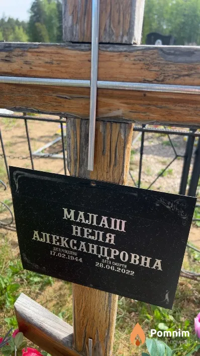 Малаш Неля Александровна
