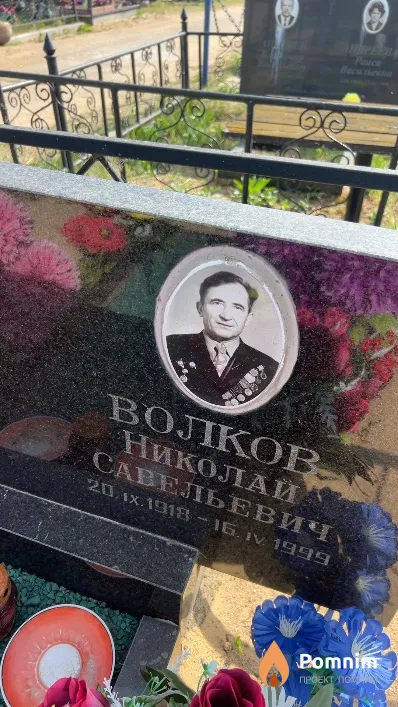 Волков Николай Савельевич