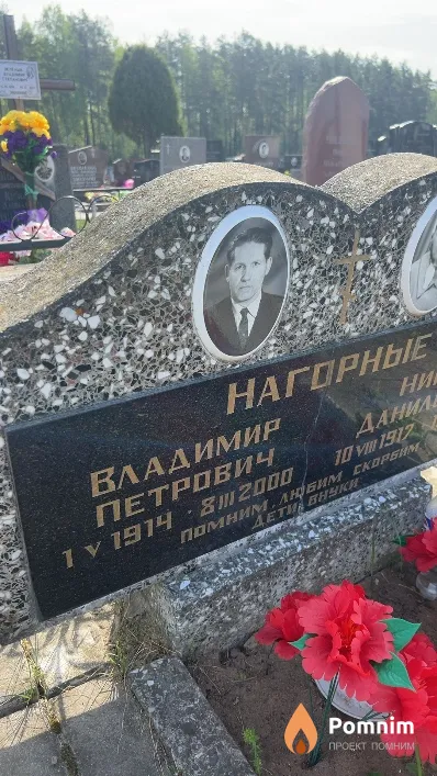 Нагорный Владимир Петрович