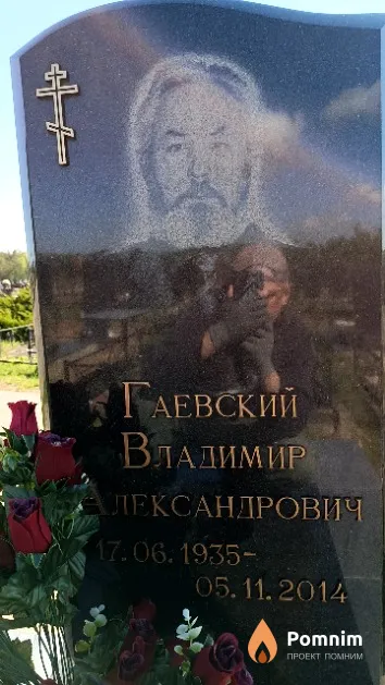 Гаевский Владимир Александрович