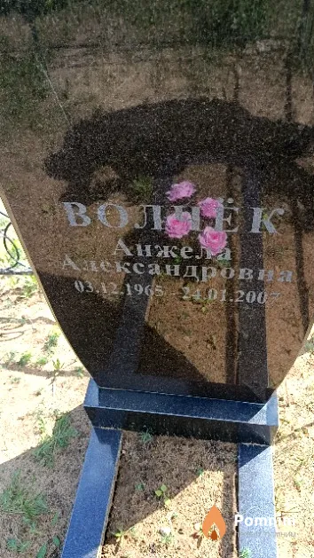 Волчёк Анжела Александровна
