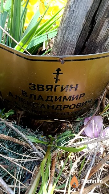 Звягин Владимир Александрович