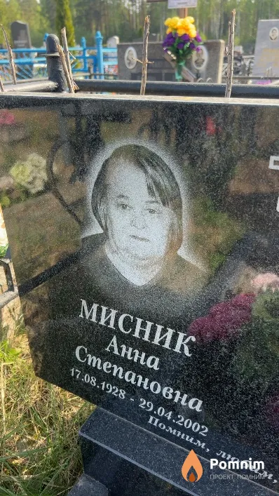 Мисник Анна Степановна