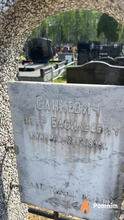 Санкевич Петр Васильевич