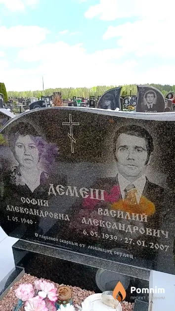 Демеш Василий Александрович