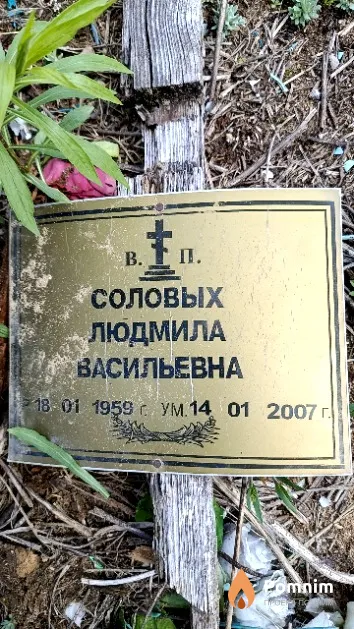 Соловых Людмила Васильевна