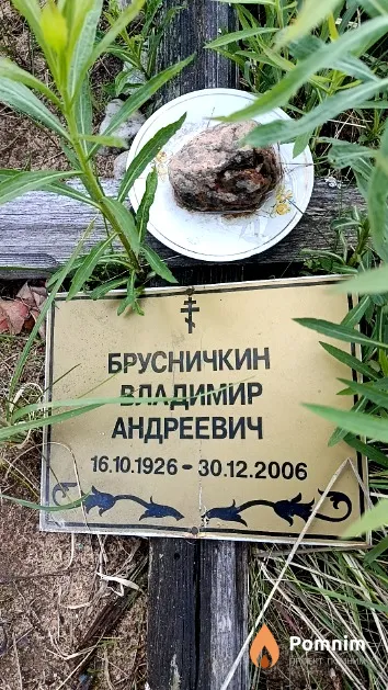 Брусничкин Владимир Андреевич