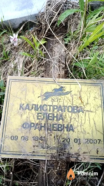 Калистратова Елена Францевна