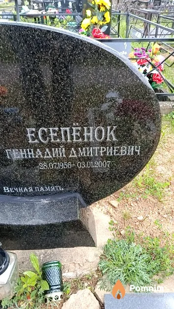 Есепёнок Геннадий Дмитриевич