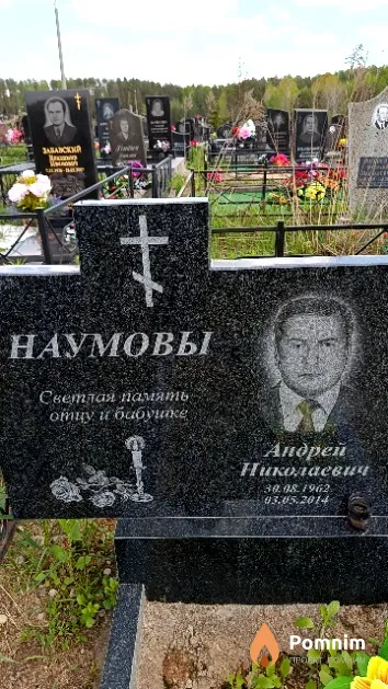 Наумов Андрей Николаевич