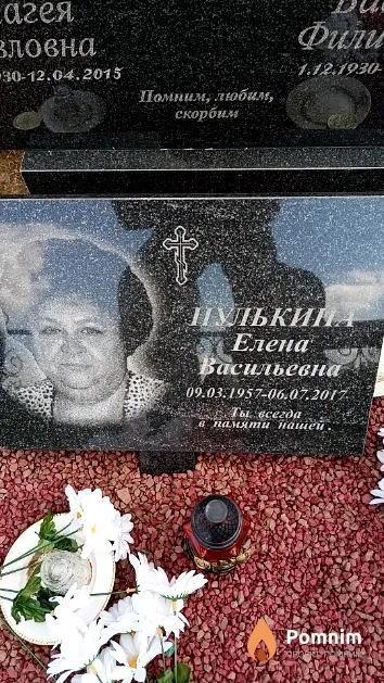 Пулькина Елена Васильевна