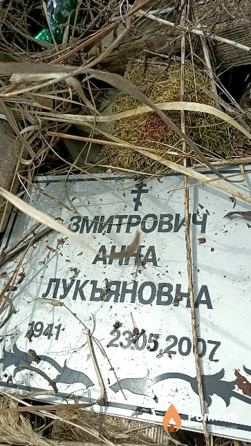 Змитрович Анна Лукьяновна