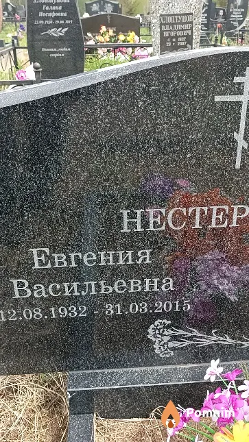 Нестерович Евгения Васильевна
