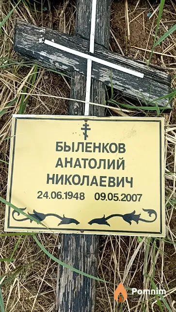 Быленков Анатолий Николаевич