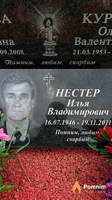 Нестер Илья Владимирович