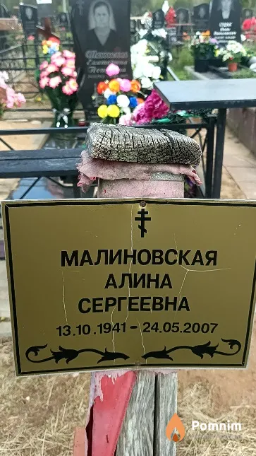 Малиновская Алина Сергеевна
