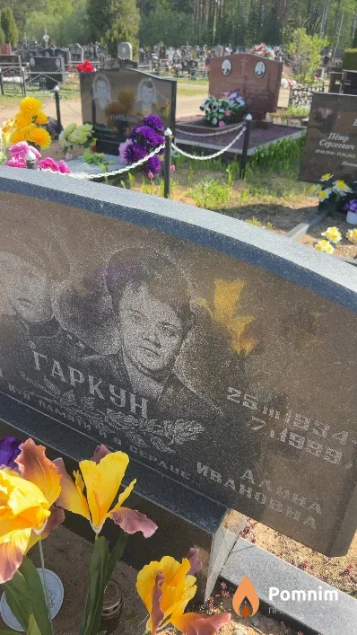 Гаркун Алина Ивановна