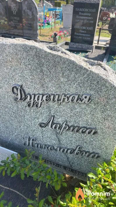Дудецкая Лариса Николаевна
